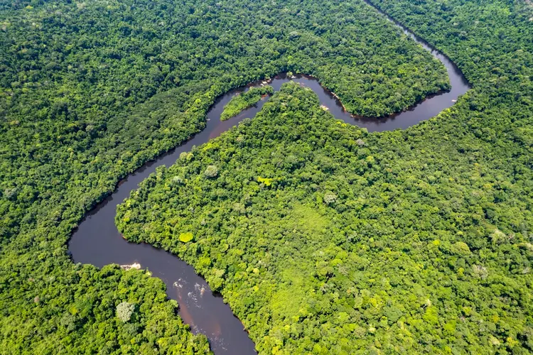 Amazônia Legal (Andre Pinto/Getty Images)