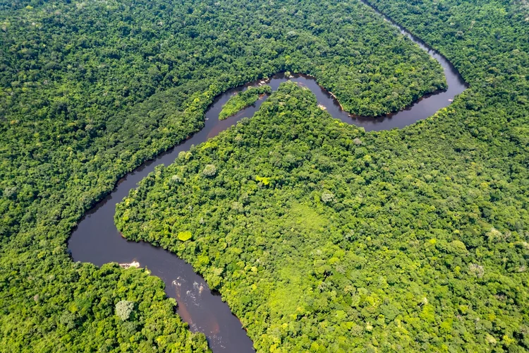 Vista aérea da Amazônia (Andre Pinto/Getty Images)