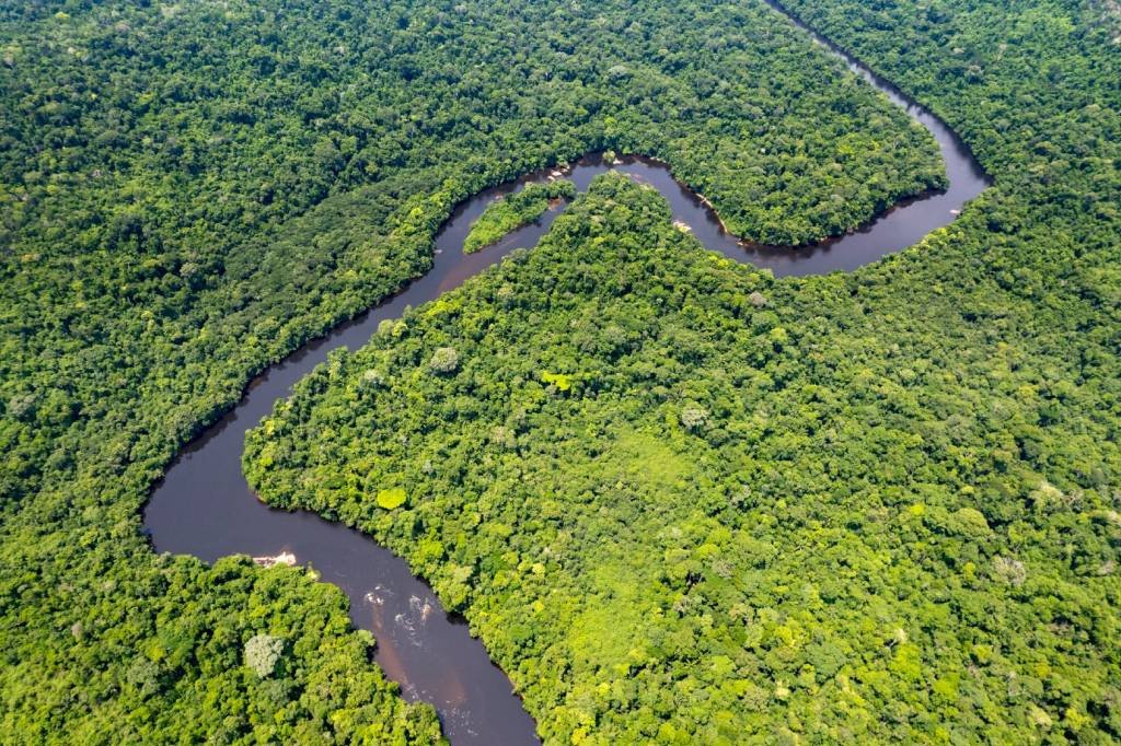 Governo anuncia investimento de R$ 2 bilhões para segurança na Amazônia Legal