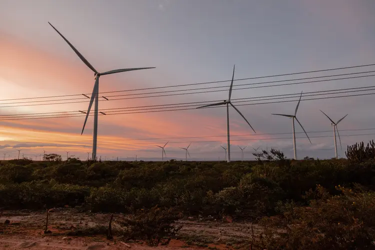 Eólica: segundo o Gwec, 2023 foi o melhor ano para esse setor de energia no mundo, com o volume recorde de 117 GW em nova capacidade (Maria Arrellaga/Getty Images)