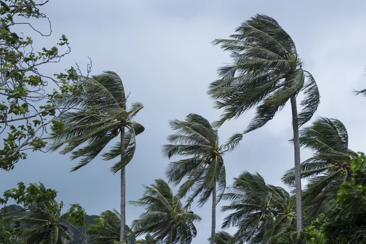 São Paulo e Rio de Janeiro também deverão sofrer as consequências do fenômeno, que atua associado a uma frente fria (Getty Images/Divulgação)