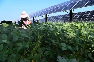 Imagem referente à matéria: Prefeitos paulistas visitam Zhejiang para conhecer tecnologias agrícolas e de IA da China