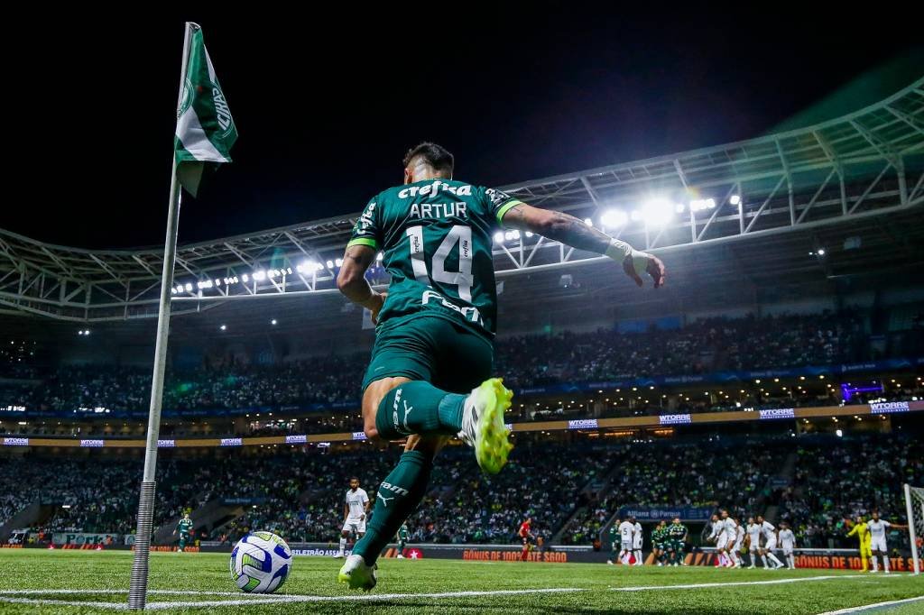 Palmeiras: time tem grandes chances de ser campeão na próxima semana. (Miguel Schincariol/Getty Images)