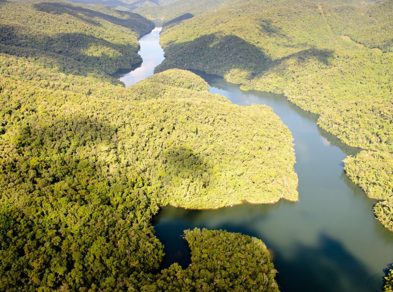 B3, Reservas Votorantim e CCR lançam plataforma de negociação de créditos de carbono