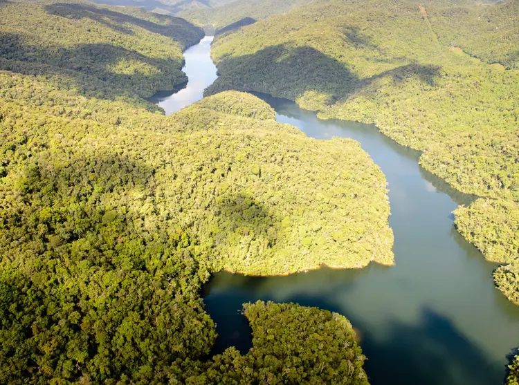 Área preservada do Legado das Águas (Leandro Candisani/Divulgação)