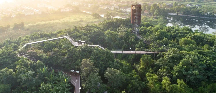 The Metro Forest é uma minifloresta criada em Bangkok, na Tailândia, seguindo o método Miyawaki