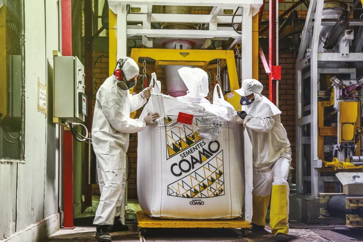 Coamo: operação verticalizada para ampliar a margem da operação (Divulgação/Divulgação)