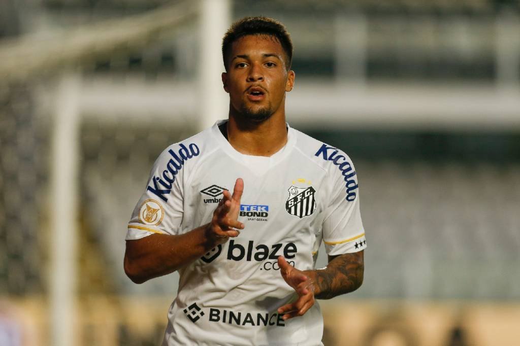 Na zona de rebaixamento, o Santos entra em campo na busca de se reablitar na competição (Ricardo Moreira/Getty Images)