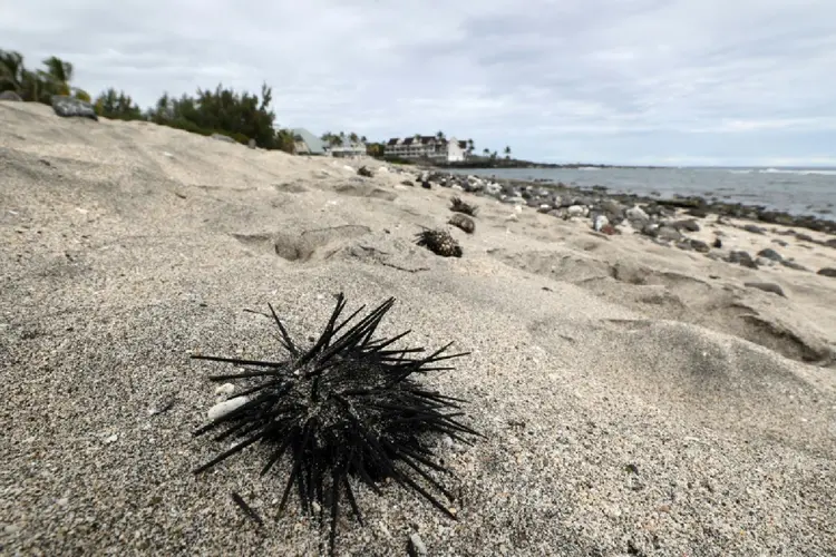 Praia de Cap Boucan Canot, em Boucan Canot (Agence France-Presse/AFP)