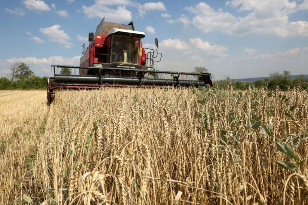 Ucrânia: país do leste europeu é um importante exportador de grãos da região  (Agence France-Presse/AFP Photo)