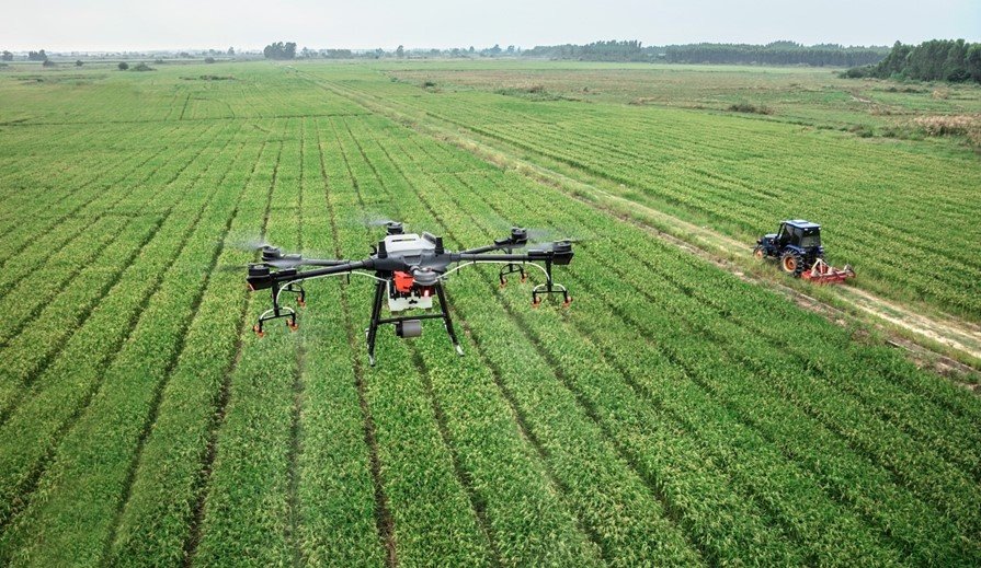 Valor da produção agropecuária de São Paulo em 2022 deve alcançar R$ 156 bilhões