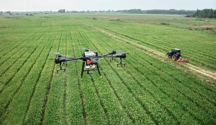 Utilização de drone para pulverização em lavoura  (Secretaria de Agricultura de São Paulo/Divulgação)