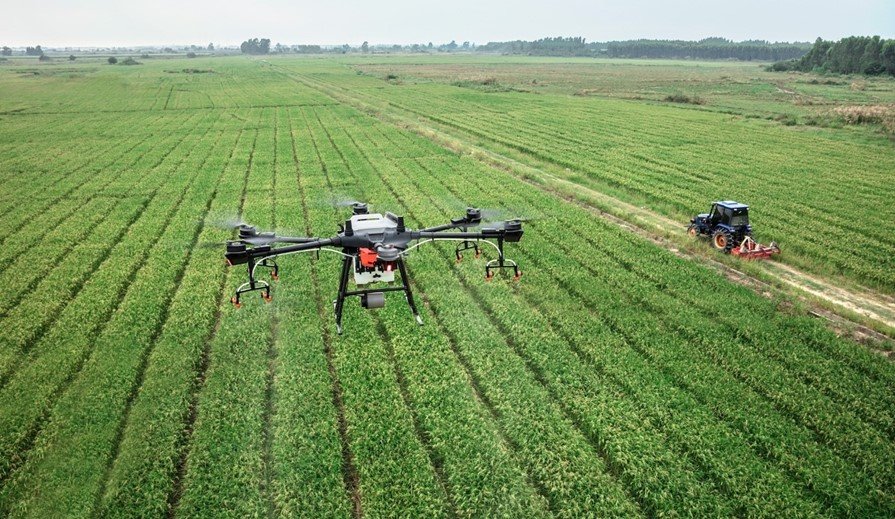 Utilização de drone para pulverização em lavoura  (Secretaria de Agricultura de São Paulo/Divulgação)