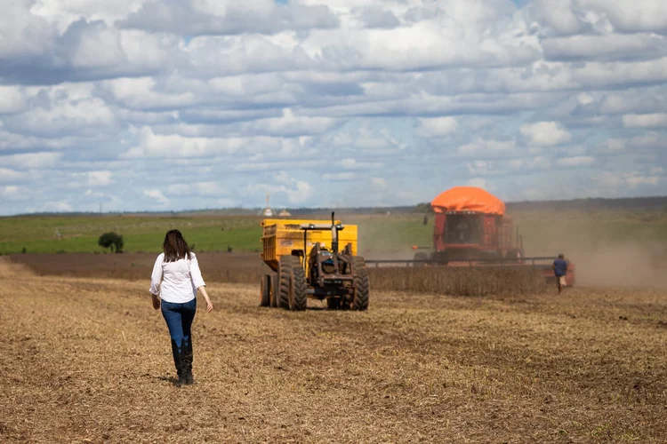 O Fundo Internacional de Desenvolvimento da Agricultura estima que 25% de todas as mulheres do mundo atua na agricultura (CNA/Senar/Divulgação)