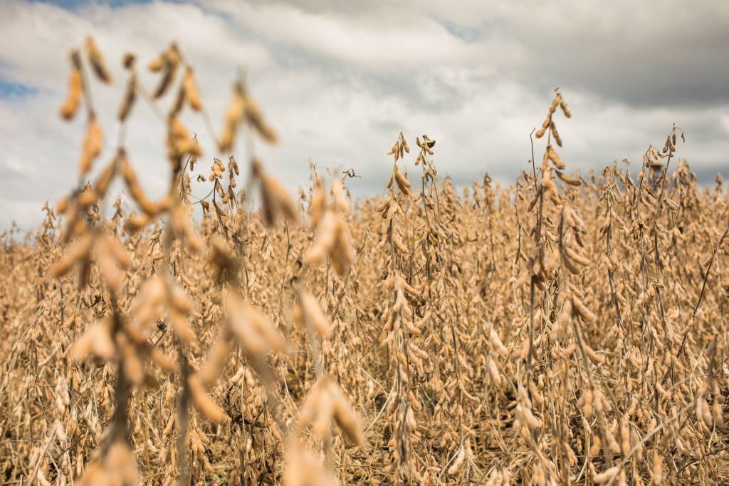 Tudo sobre a regulamentação de tokens para financiamento do agronegócio