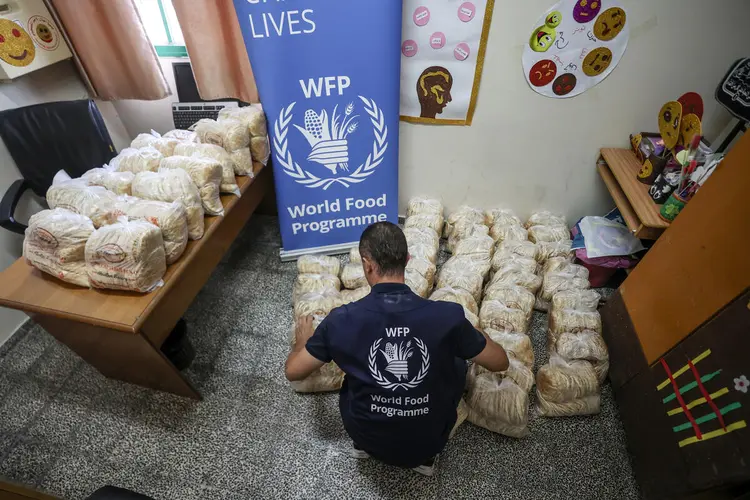 WFP: nesta sexta-feira, 13 de outubro, 135 mil pessoas em abrigos receberam pão fresco (WFP / Ali Jadallah)