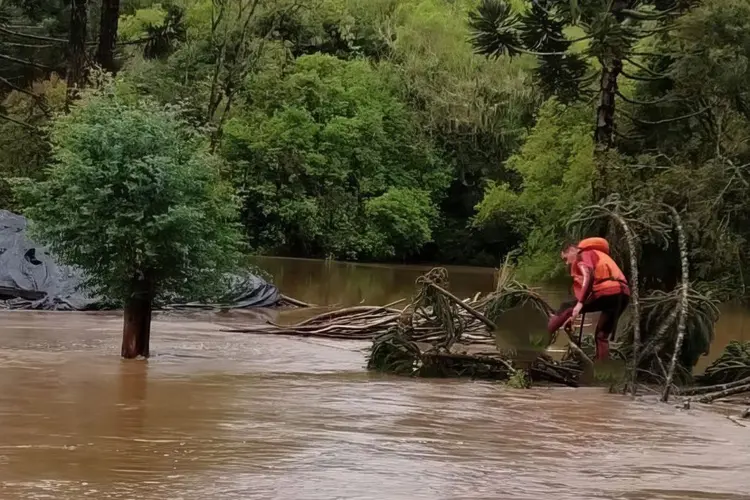 Chuva no Sul: temporal em Santa Catarina (CBMSC/Agência Brasil)