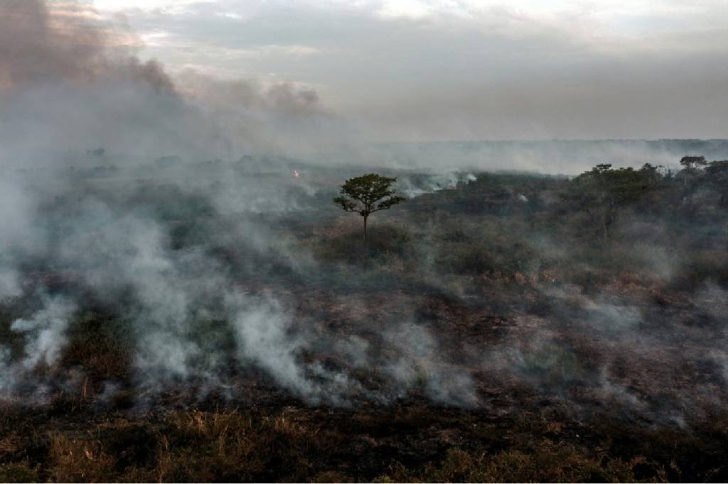 Amazônia: região é ameaçada por crimes ambientais (Agence France-Presse/AFP)