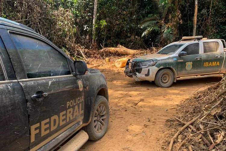 Ibama: instituição é dedicada a repressão de crimes ambientais (Polícia Federal/Agência Brasil)