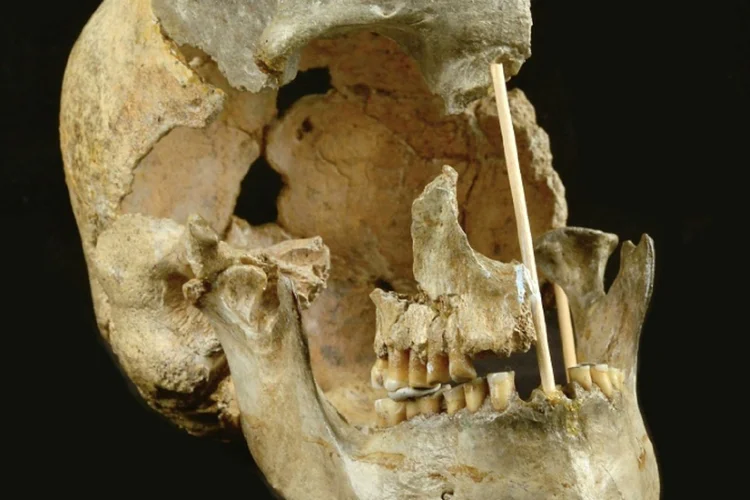 São ossos de dois indivíduos entre 36.000 e 37.000 anos atrás, cujo genoma foi extraído recentemente, graças a novas técnicas, explica estudo publicado esta semana na "Nature Ecology & Evolution" (AFP/AFP)