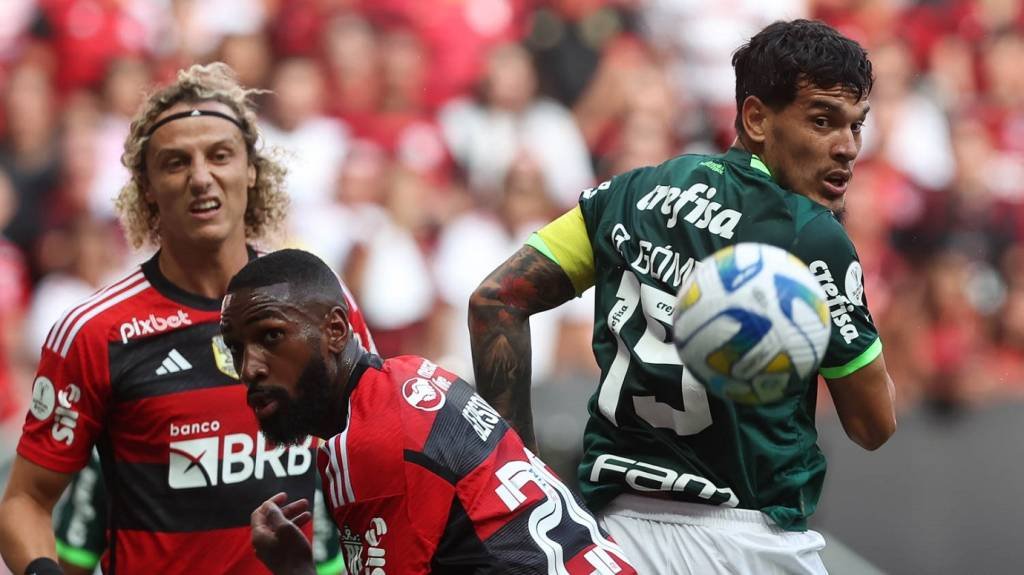 Adversários no Brasileirão, Flamengo e Palmeiras somam quase 300 mil sócios-torcedores