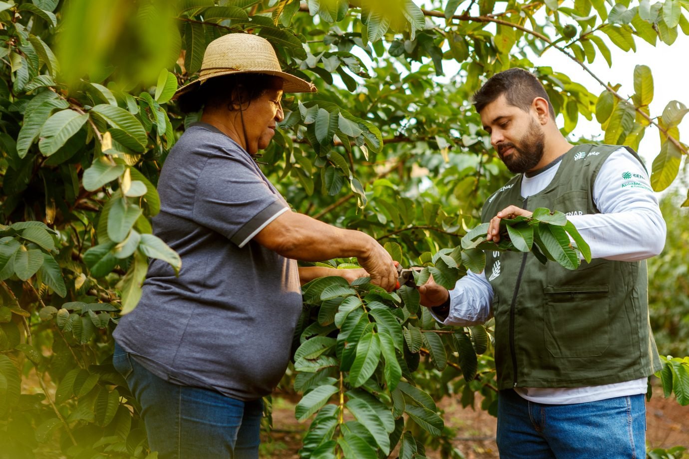 Pedidos de recuperação judicial no agro crescem 535% em 2023, diz Serasa