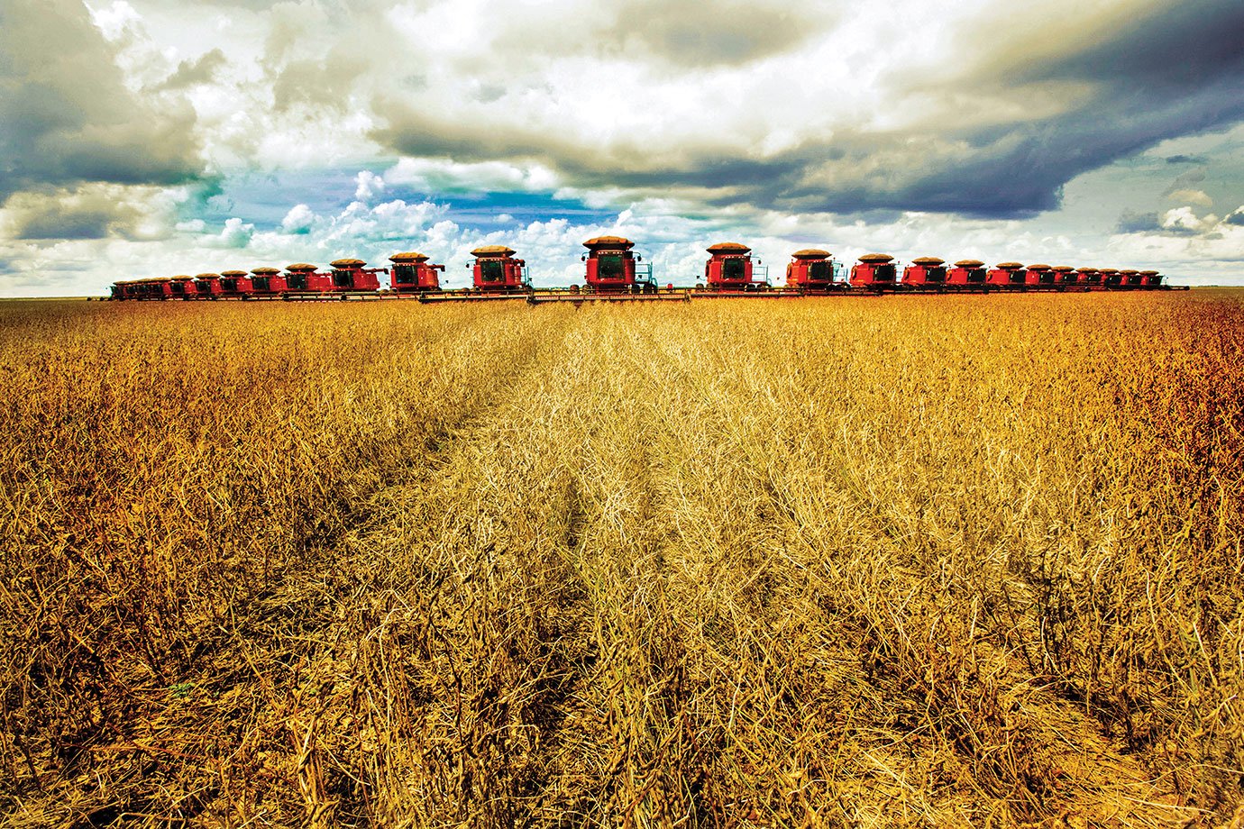 Esvaziamento do campo e os desafios da sucessão familiar no agronegócio global