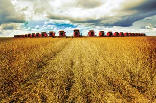 Esvaziamento do campo e os desafios da sucessão familiar no agronegócio global