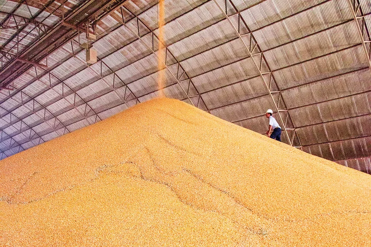 Soja: o ano de 2023 revelou-se favorável para a agricultura e pecuária, apesar dos desafios enfrentados pelo setor, escreve Luis Otávio Fonseca (Getty Images/Getty Images)