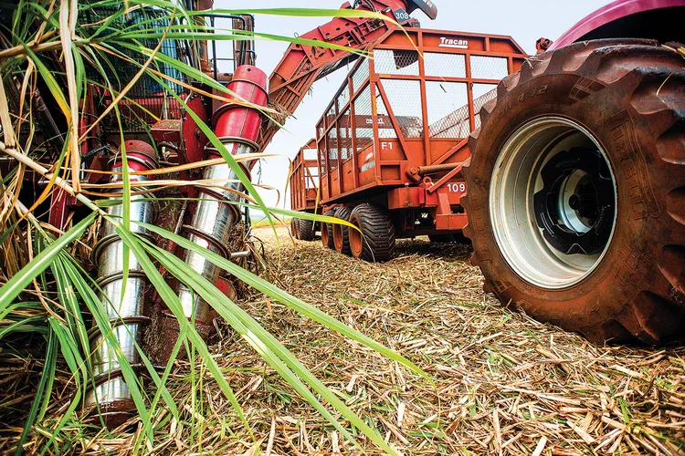 Tecnologia: No Brasil, a IA ajuda a medir os riscos de eventos climáticos no campo (Emiliano Capozoli/Exame)