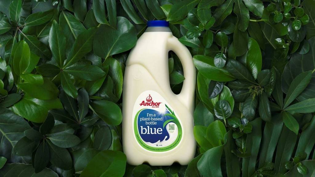 Como uma indústria de leite da Nova Zelândia virou um case de embalagens sustentáveis