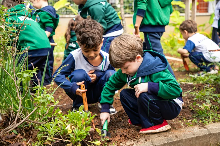 Incentivo à alimentação saudável, com hortas escolares, é uma das ações que destacam São Caetano do Sul (São Caetano do Sul /Divulgação)