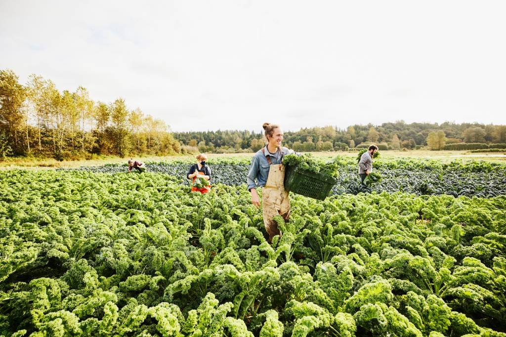 Tecnologia e práticas regenerativas podem alavancar agricultura mais sustentável (Thomas Barwick/Getty Images)