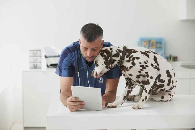 “O Prontuário Vet Smart Pro chega para permitir a melhor gestão do negócio dos empreendedores da área", afirma o diretor do Grupo Petlove (LWA/ Dan Tardif/Getty Images)