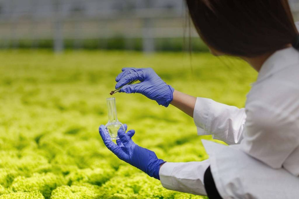 Startup brasileira Krilltech investe em nanotecnologia para fertilizantes verdes