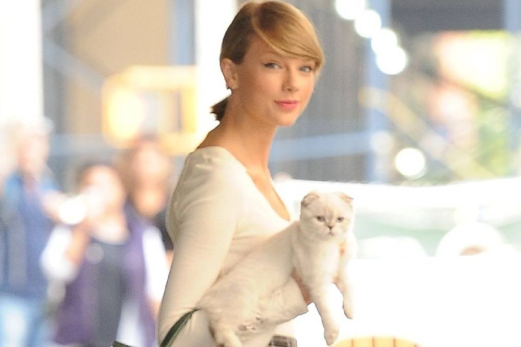 Taylor Swift: cantora é dona do 3º pet mais rico do mundo; conheça o patrimônio da gata