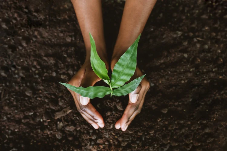 "Mais de 30 ministros de agricultura de países das Américas convocados pelo Instituto Interamericano de Cooperação para a Agricultura (IICA) se reuniram na Costa Rica para consolidar uma parceria continental" (andreswd/Getty Images)