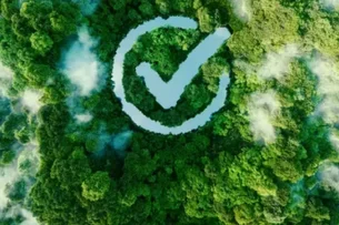 Como o blockchain pode mudar o mercado de crédito de carbono?