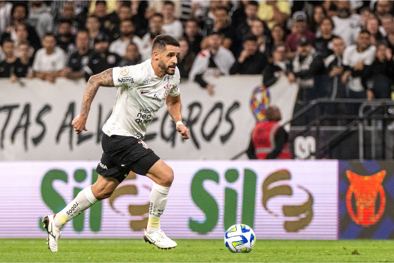 Quais as chances do Corinthians ser eliminado do Campeonato Paulista? Entenda