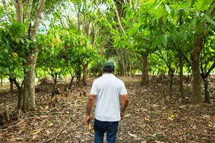 Imagem referente à matéria: BTG Pactual abre inscrições para programa de aceleração voltado à conservação ambiental