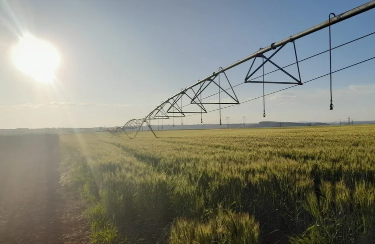 Pivô: estrutura representa 20% de todo o sistema de irrigação (Mariana Grilli/Exame)