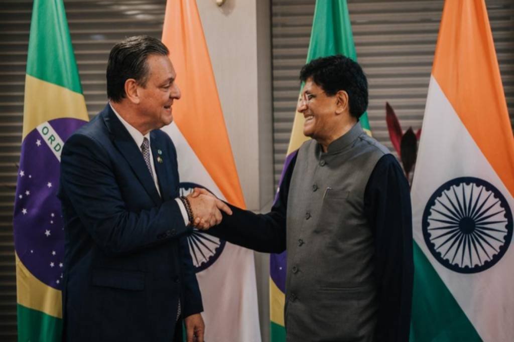 Brasil e Índia: produtos agropecuários aproximam a relação comercial entre países