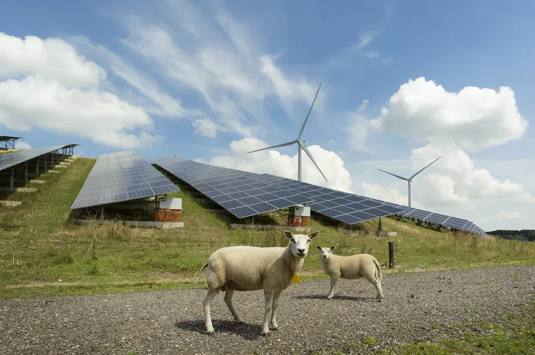 Avanço: geração de energia a partir de fontes de baixas emissões, como a solar, representaram um parcela de pouco menos de 40% em 2023 (Getty Images)