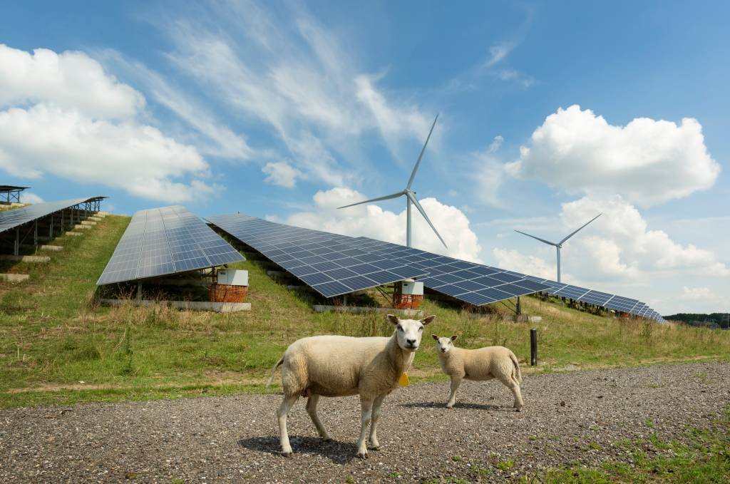 Painéis de energia solar têm pouco impacto no ambiente (Getty Images)