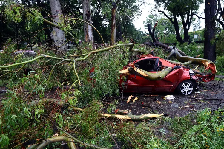 View of a car smashed by a fallen tree following a strong storm that hit Buenos Aires, on December 17, 2023. In the port city of Bahia Blanca, some 600km southwest of Buenos Aires, the powerful storm led to the deaths of at least 13 people when the roof of a sports club collapsed, authorities said. (Photo by ALEJANDRO PAGNI / AFP) (Photo by ALEJANDRO PAGNI/AFP via Getty Images) ( ALEJANDRO PAGNI/AFP/Getty Images)