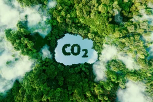 Imagem referente à matéria: B4, bolsa de ação climática, projeta movimentar R$ 1,1 bi em créditos de carbono