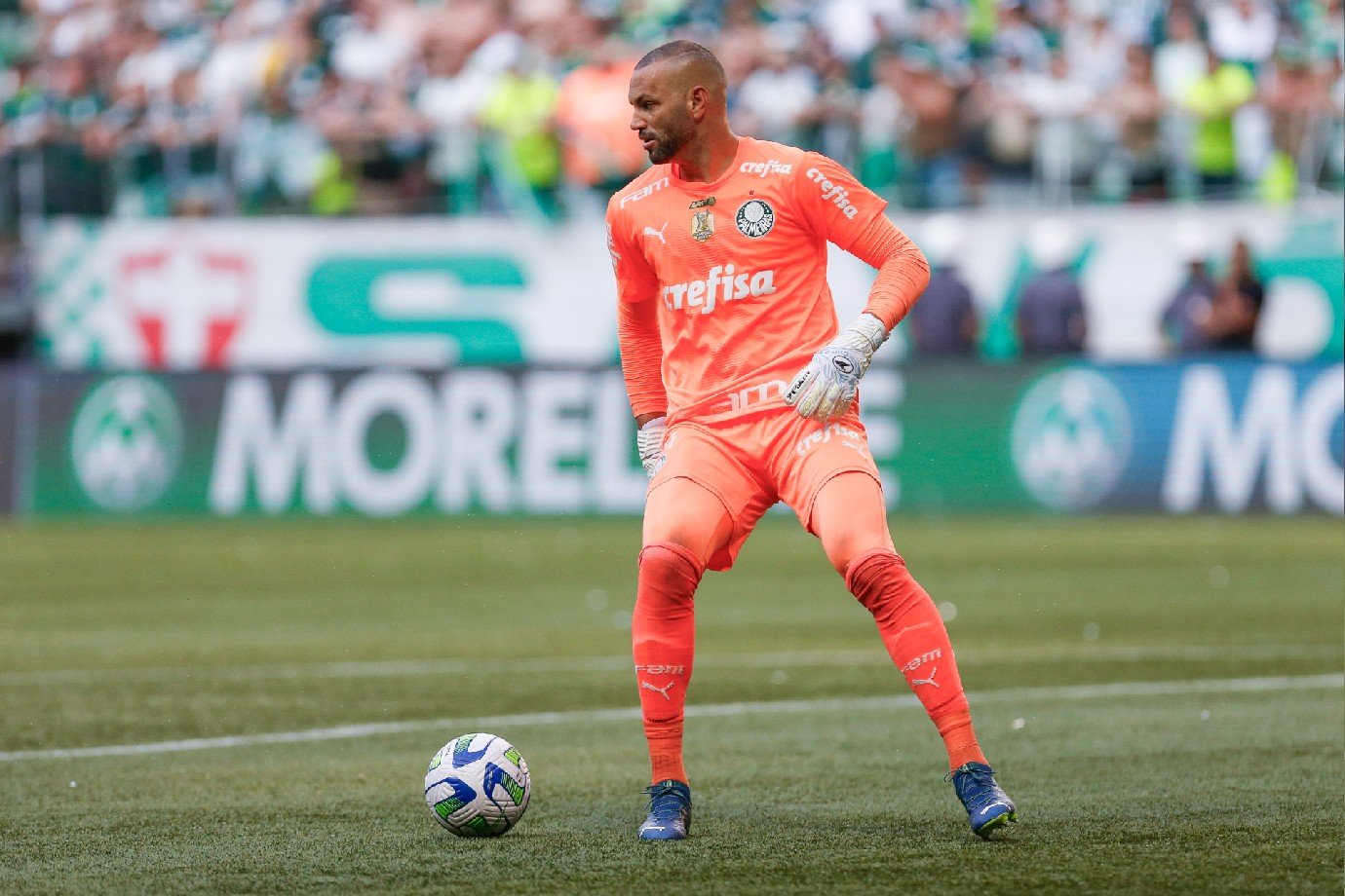 Palmeiras x Cruzeiro: onde assistir, horários e escalações pelo Brasileirão