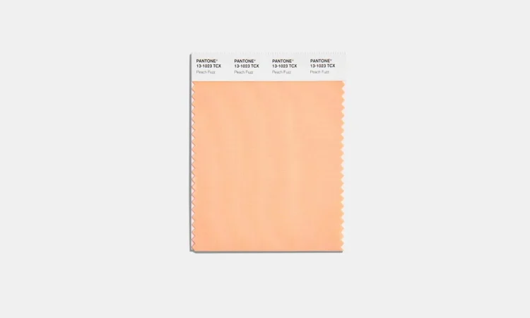 Peach Fuzz: a cor de 2024, segundo a Pantone (Pantone/Divulgação)