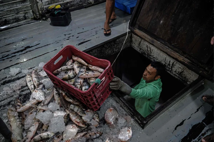 Mercado de pescados em Belém, do Pará (Carl de Souza/Getty Images)