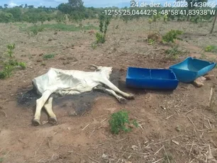 Imagem referente à matéria: Mudanças climáticas agravam insegurança alimentar, alerta pesquisadora